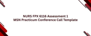 NURS FPX 6116 Assessment 1 MSN Practicum Conference Call Template